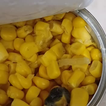 Tukaş Konserve Mısırda Solucan Benzeri Nesne