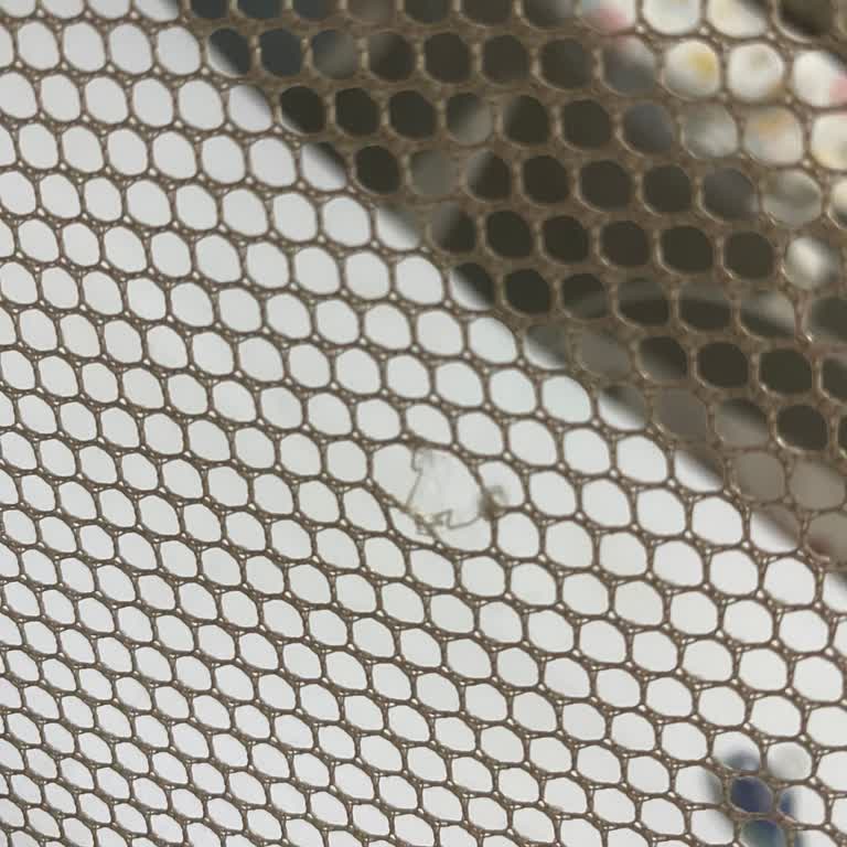 Prego Park Beşiği Bir Hafta İçinde Kırıldı, Değişim Talebim Reddedildi