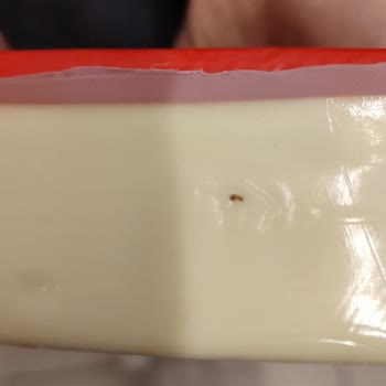 Migros Alanya Kargıcak Şubesinde President Kaşar Peyniri İçinde Böcek Bulundu