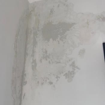 Antakya Deprem Konutlarında Yaşanmaz Durum Su Sızıntısı Çarpık Duvarlar Ve Eksik Bakım