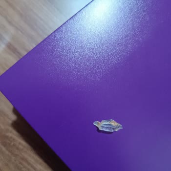 Elit Çikolatasında Cam Parçası Bulundu