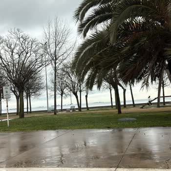 Tat Gıda Kornişon Turşunun İçinden Uğur Böceği Çıkması