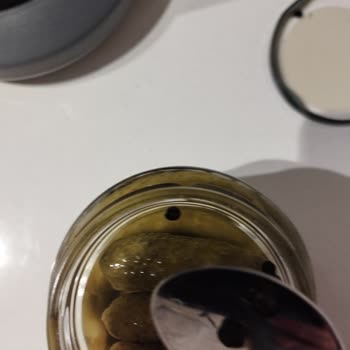 Tat Gıda Kornişon Turşunun İçinden Uğur Böceği Çıkması