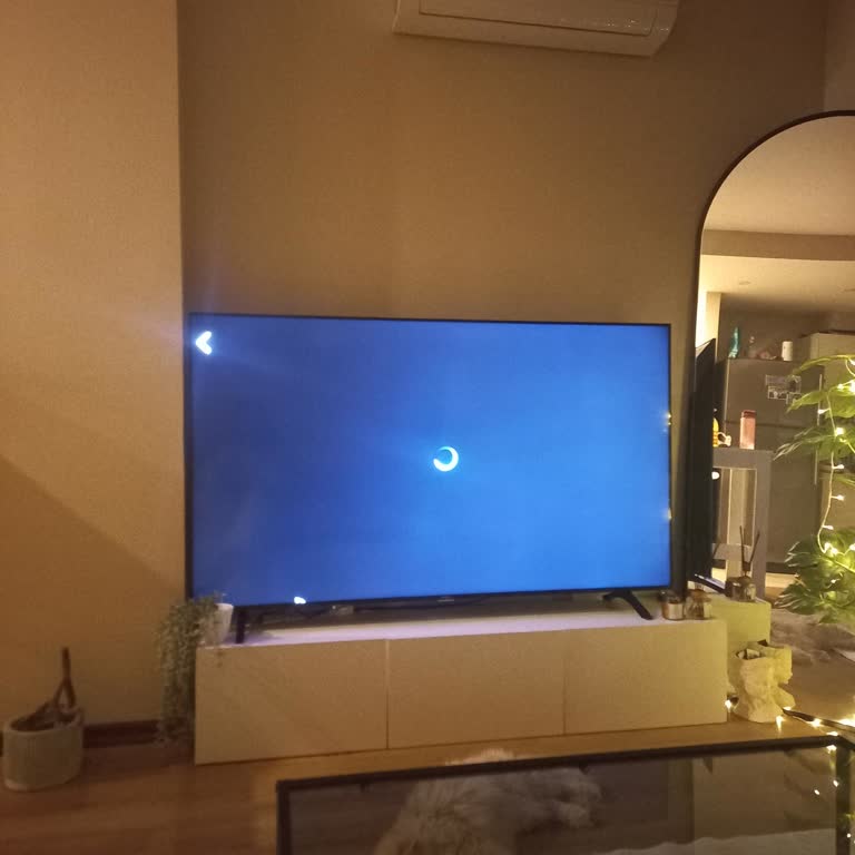 Sunny TV’de Disney Plus İzlerken Sürekli Donma Sorunu