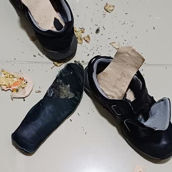 Raker Plus Çocuk Ayakkabısında Küf Ve Koku Problemi Sağlık Riski Ve İade Talebi