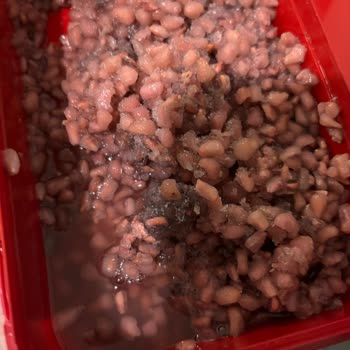 Migros’tan Bozuk Dondurulmuş Nar İçin İade Talebi