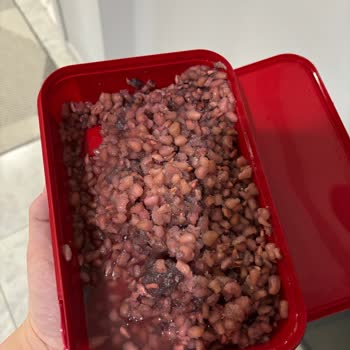 Migros’tan Bozuk Dondurulmuş Nar İçin İade Talebi