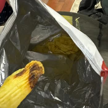 Pakette Siyah Yabancı Madde Ve Hijyen Sorunu