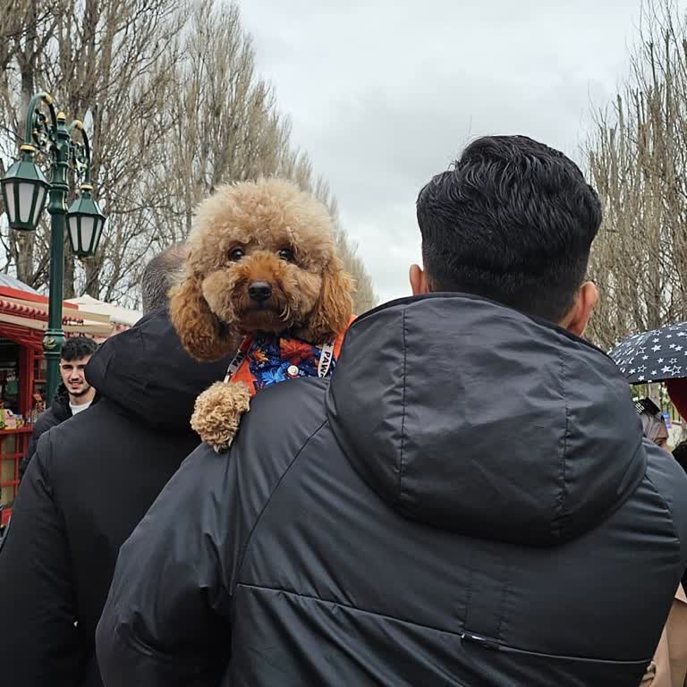 Sazova Parkında Evcil Hayvanlı Ziyaretçilere Giriş Reddi