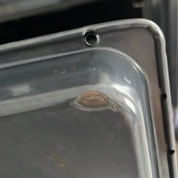 Beko Ankastre Fırın Tepsilerinde Hızlı Soyulma, Garanti Dışı İddia Ve Ücretsiz Değişim Talebi