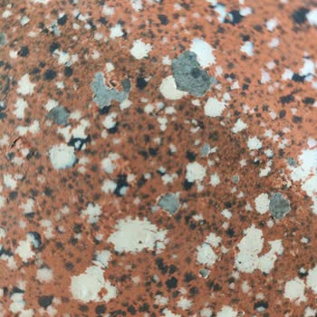 Emsan Retro Tencere Seti 9 Ayda Deforme Oldu, Garanti Kapsamında Değişim İstiyorum