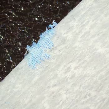 A101 Mendiva Gözlük Silme Bezinden Çıkan Plastik Parça