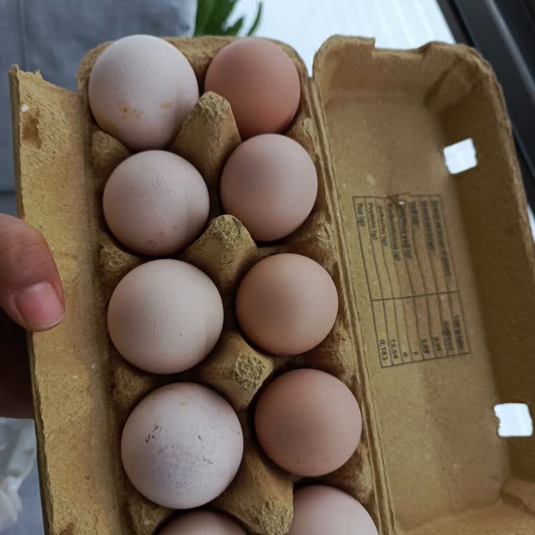 A101 Şubesinde Yumurta Etiket Sorunu Ve Ürün Kalitesinde Sürekli Problemler