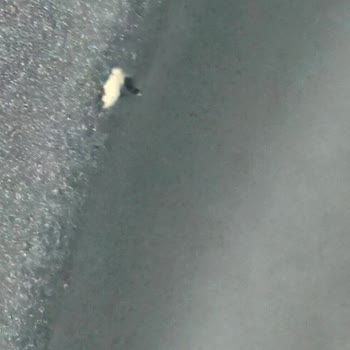 Tefal Tencere Setinin Kaplaması Çabuk Soyuluyor, Garanti Kapsamında Değişim Talebi