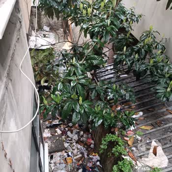 Gaziosmanpaşa’da Çöplük Haline Gelmiş Arka Alan Temizlenmeli