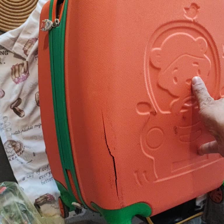 Sunexpress Kayıt Olmadığını Gerekçe Göstererek Bagaj Hasarını Reddetti