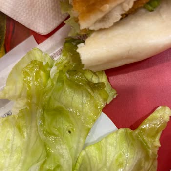 Hamburgerde Böcek Çıktı Hijyen Ve Sağlık Sorunu