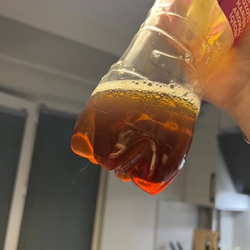 Lipton Ice Tea Mango’da Yabancı Madde Ve Pepsico Müşteri Hizmetlerinde Kötü Davranış