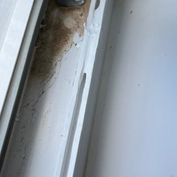 Karmod Prefabrik Evde Sürekli Su Sızması Ve Pencere Değişimi Talebi
