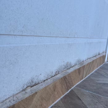 Karmod Prefabrik Evde Sürekli Su Sızması Ve Pencere Değişimi Talebi