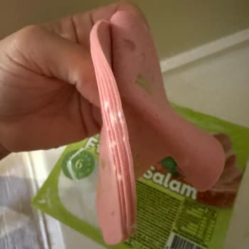 Aytaç Şipşak Salam Küflenmesi