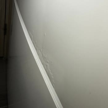 Buzdolabının Boya Kabarması Ve Paslanması Nedeniyle Ücretsiz Onarım Talebi