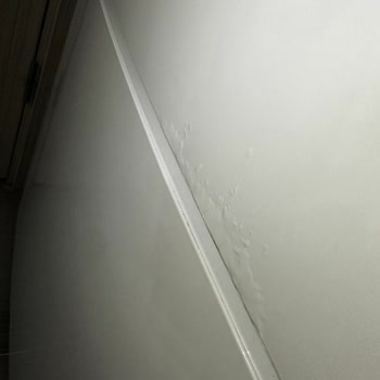 Buzdolabının Boya Kabarması Ve Paslanması Nedeniyle Ücretsiz Onarım Talebi