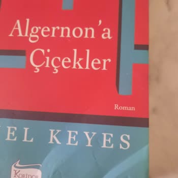 Sürekli Yanlış Teslimat Ve Ezilen Kargo Mağduriyeti