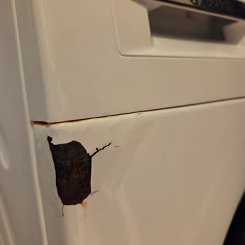 Üç Yılda Paslanan Bosch Çamaşır Makinesine Garanti Reddi