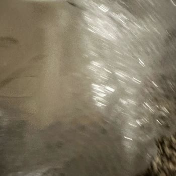 Karaca İnci Yemek Takımındaki Kararma Ve Kırılan Parçalar Nedeniyle Tam Değişim Talebi