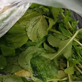 Bozuk Sebze Ve Meyve Ürünleri Nedeniyle Tekrarlayan Mağduriyet