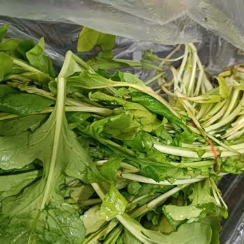 Bozuk Sebze Ve Meyve Ürünleri Nedeniyle Tekrarlayan Mağduriyet