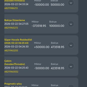 Bahiscom Hesap Bakiyesinin Açıklamasız 372 Bin TL’lik Silinmesi