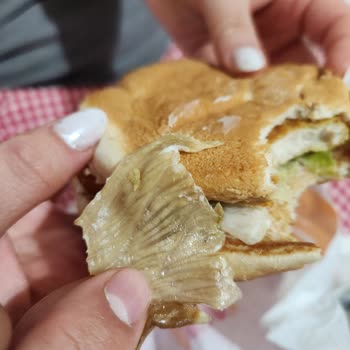 Bozulmuş Ve Soğuk Hamburger İçin Şikayet Ve İade Talebi