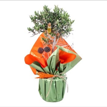 Onaylanan Görsel İle Uyuşmayan Çiçek Ve Geciken Teslimat