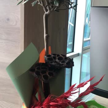 Onaylanan Görsel İle Uyuşmayan Çiçek Ve Geciken Teslimat