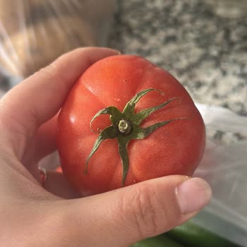 Eksik Ürün Ve Yanıltıcı Görseller İçin Şikayet Ve Müşteri Hizmetinde Umursamazlık