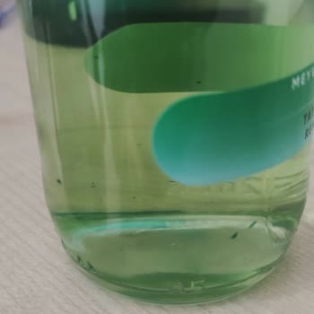 Meyveli Gazlı İçecekte Plastik Parçacıklar Ve Mide Bulantısı