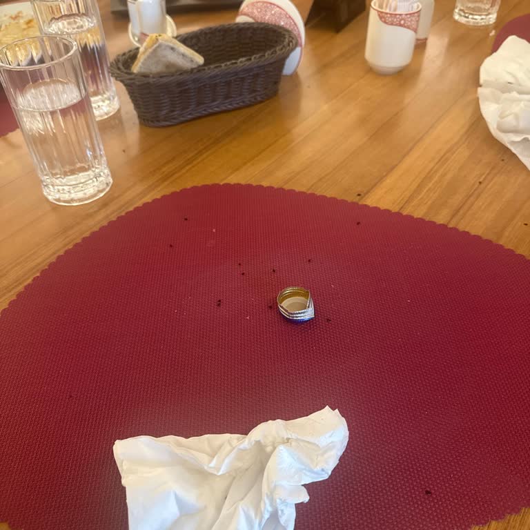 Fazla Ücretli Yağlama Ve Eksik İkramlar Üzerine Şikayet