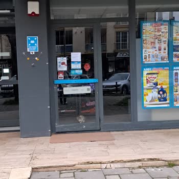 A101 Mağazasındaki Kediler Hijyen Sorunu Ve Gece Alarm Gürültüsü Yaratıyor