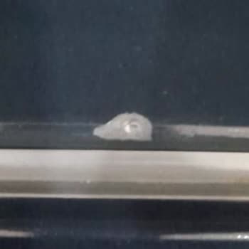 Bosch Ankastre Sette Boya Dökülmesi, Servis Ücreti İadesi Ve Ürün Değişimi Talebi