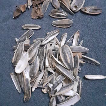 Mamak Şok Marketinde Satılan Çekirdek Paketi İçinde Yabancı Cisim Ve Çürük Ürün