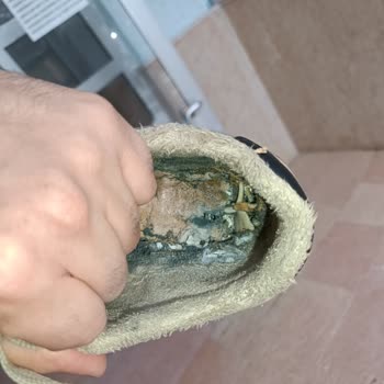 Garanti Kapsamındaki Ayakkabılarım Kullanıcı Hatası İddiasıyla Reddedildi