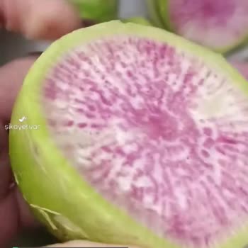 Onur Market'ten Aldığım Sünger Turp
