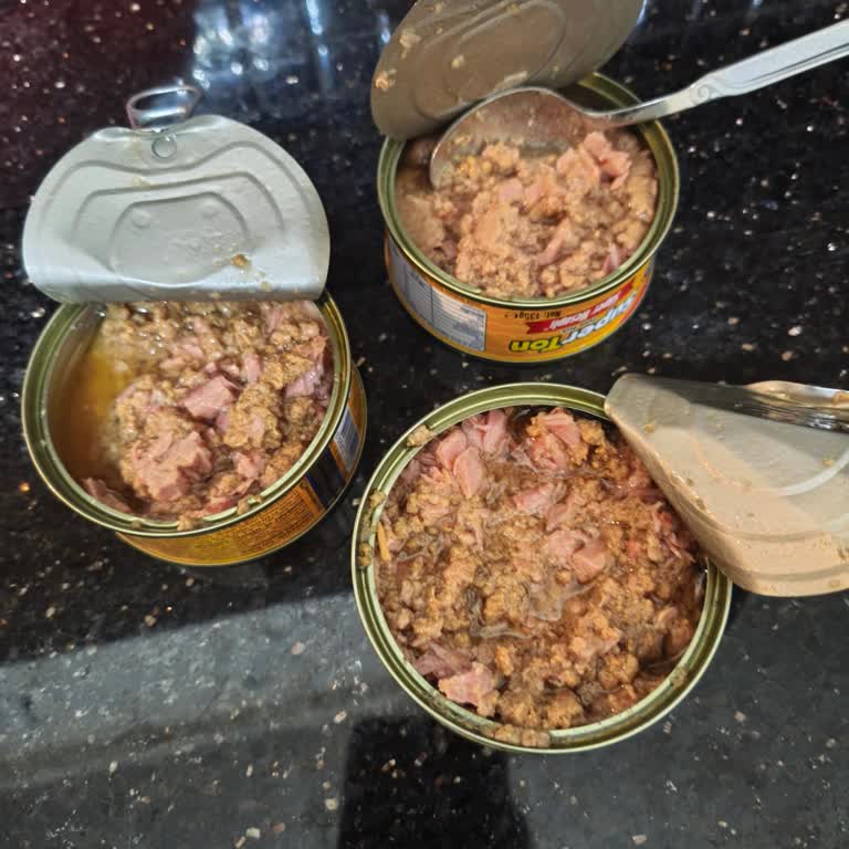 Superfresh Ton Balığında Renk Bozukluğu Ve Siyah Parçalar Gıda Güvenliği Endişesi