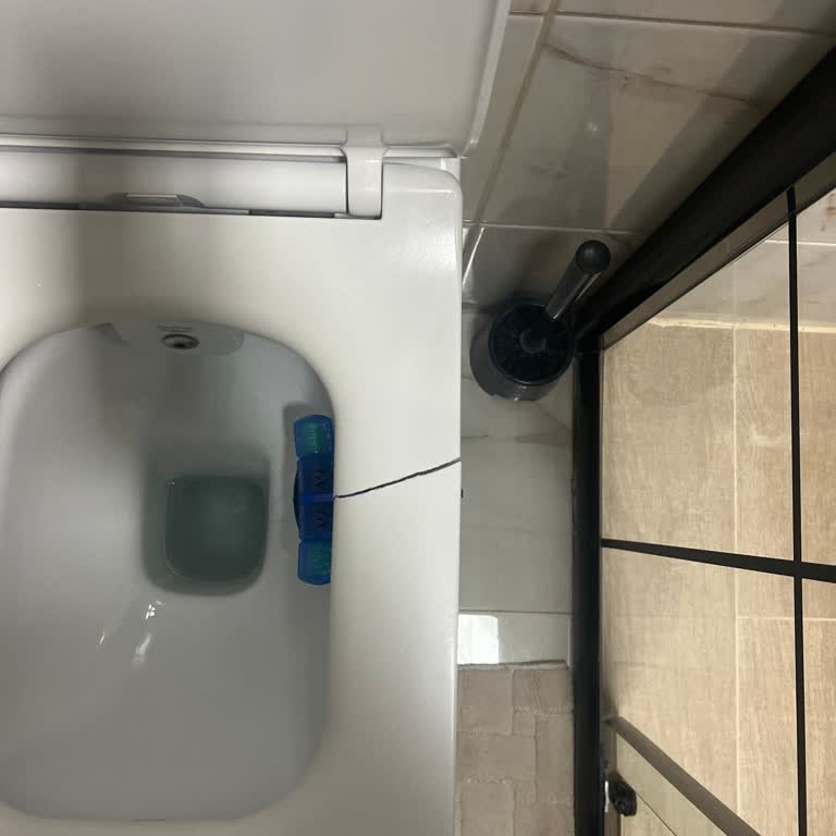 Cerastyle Ibiza Klozet Kapağının Kendi Kendine Kırılması Ve Ücretsiz Değişim İsteği