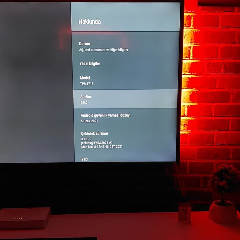 Philips Televizyonda Android 12 Güncellemesi Yapılamıyor Ve Bluetooth Sorunu