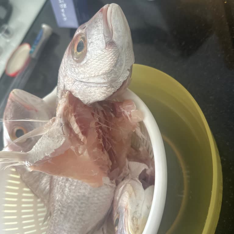 Mercan Balığının Bozulması Ve Ücret İadesi Talebi