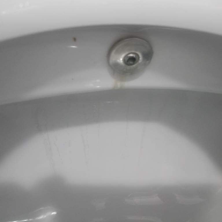 Bien Klozetin Üzerinde Uzun Uzun Çizgiler Ve Silinmeyen Lekeler Oluşması