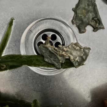 Küflü Şeftali Aromalı Meyve Suyu İçin İade Ve Gıda Güvenliği Şikayeti